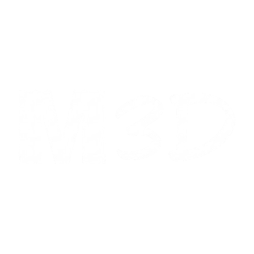 Maestro 3D